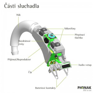 Části sluchada